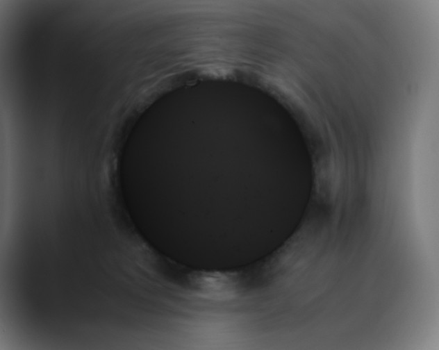 X0000089350229200706291027