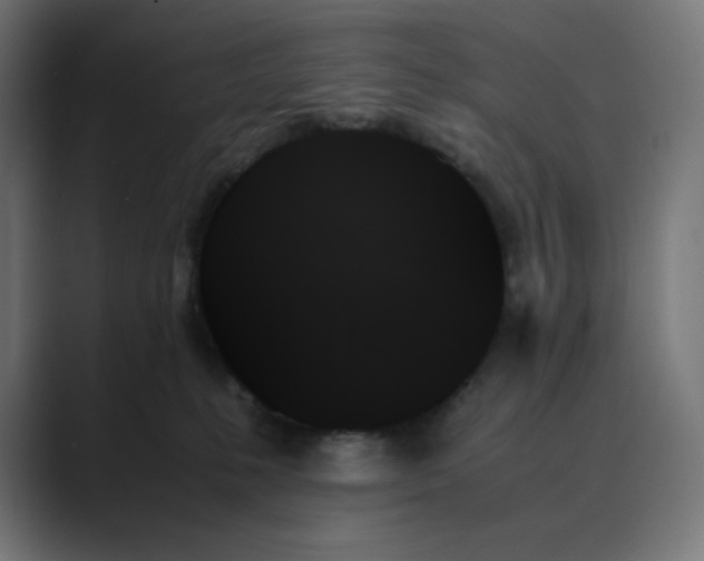X0000089350231200706291027