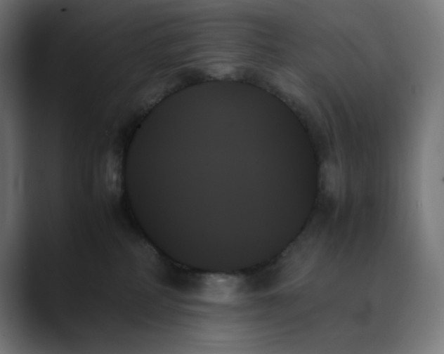 X0000089350234200706291027