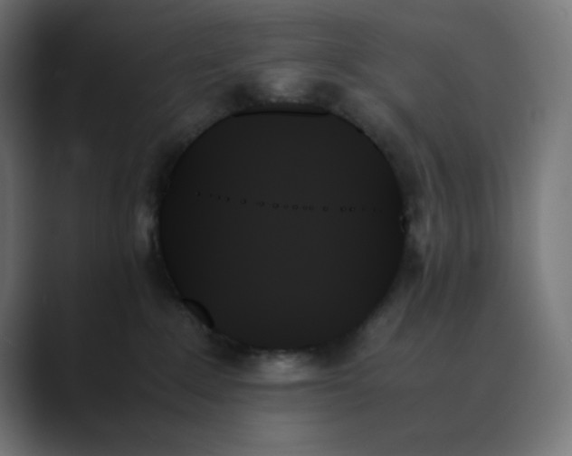 X0000089350235200706291027