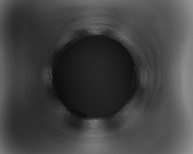 X0000089350237200706291027