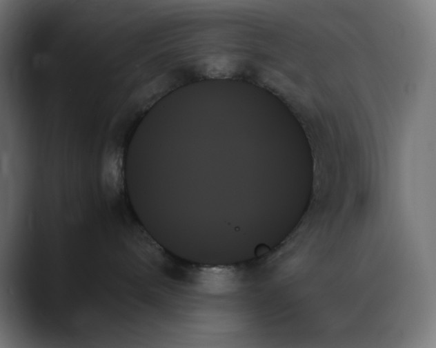 X0000089350240200706291027