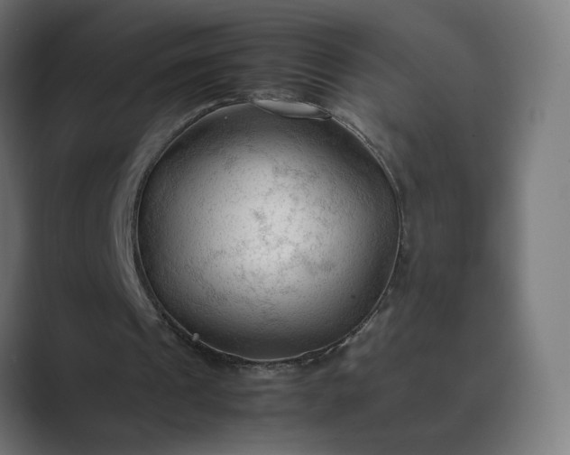X0000089350241200706291027
