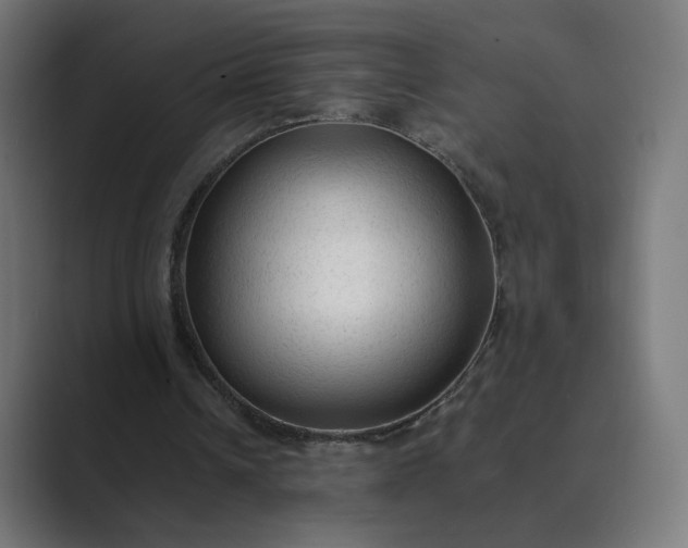 X0000089350242200706291027