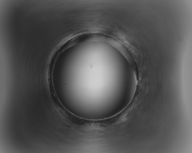 X0000089350244200706291027