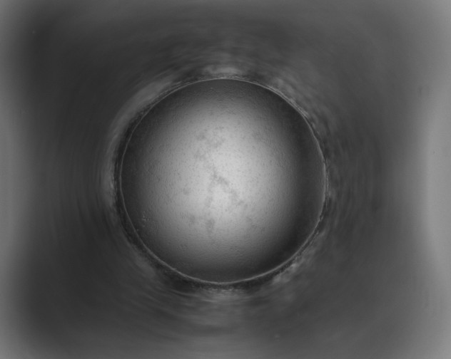 X0000089350245200706291027