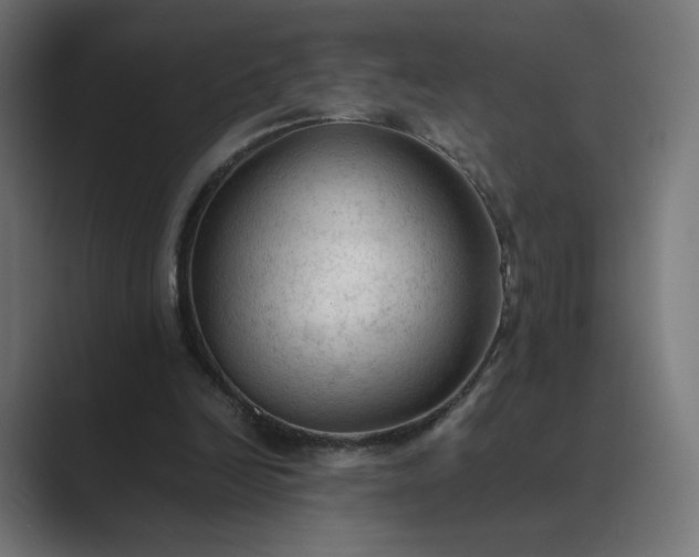 X0000089350246200706291027