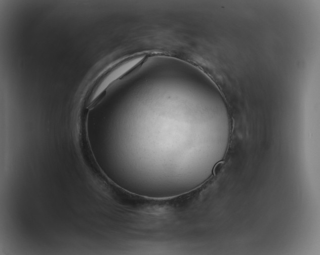 X0000089350247200706291027