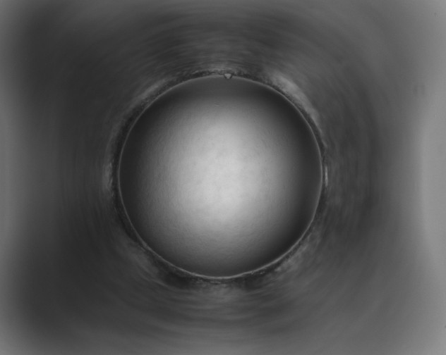 X0000089350249200706291027