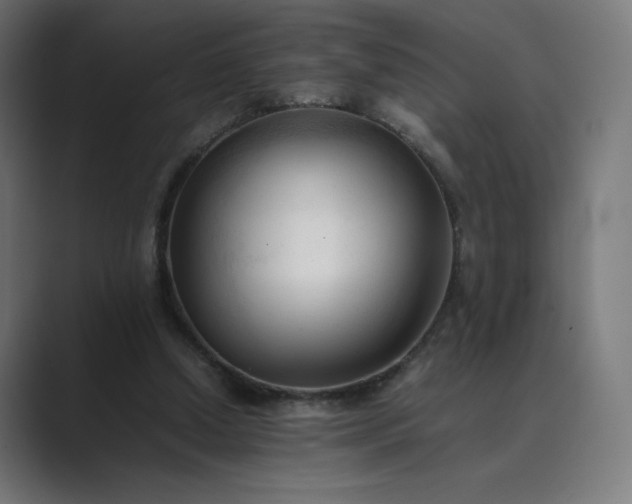 X0000089350250200706291027