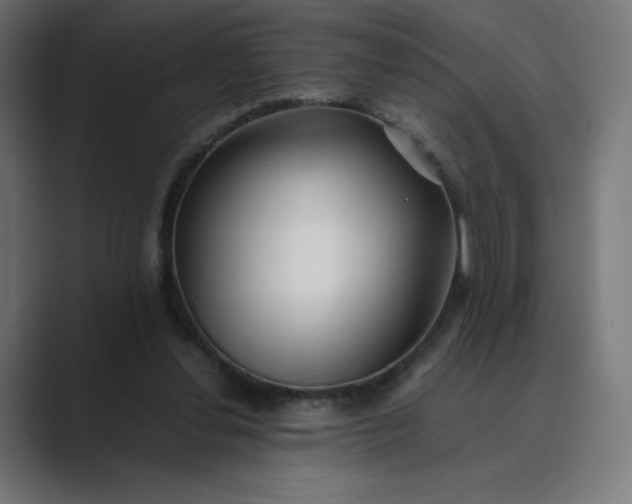 X0000089350252200706291027