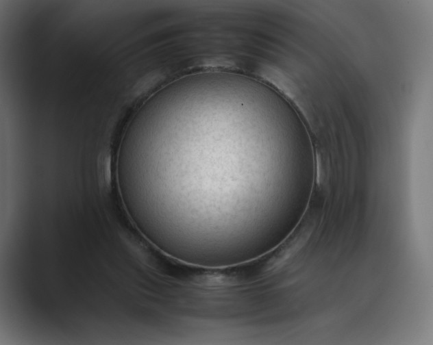 X0000089350253200706291027