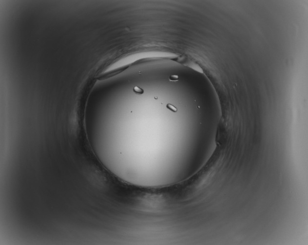 X0000089350256200706291027