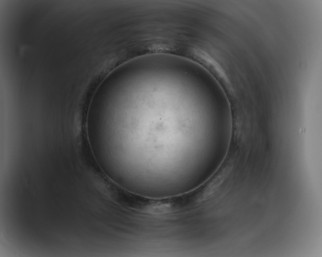 X0000089350257200706291027