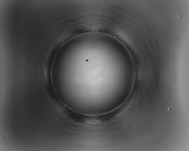 X0000089350258200706291027