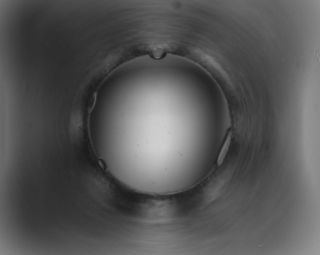 X0000089350260200706291027