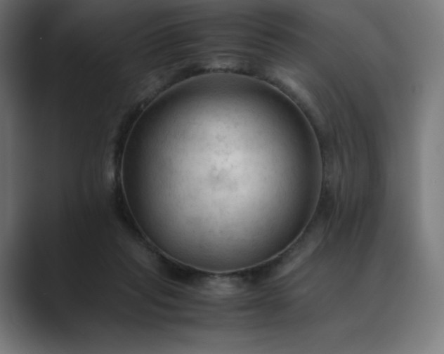 X0000089350261200706291027
