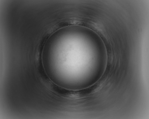 X0000089350263200706291027
