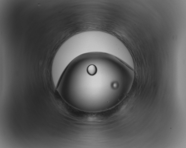 X0000089350264200706291027
