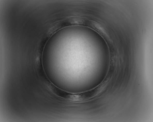 X0000089350265200706291027