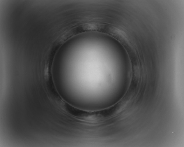 X0000089350267200706291027