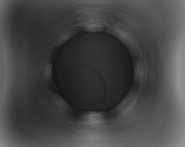 X0000089350278200706291027