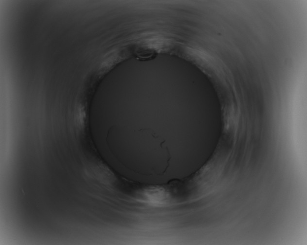 X0000089350279200706291027