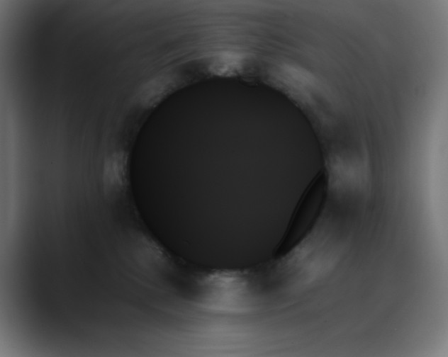 X0000089350280200706291027