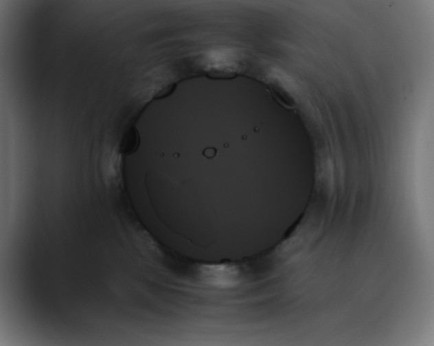 X0000089350281200706291027