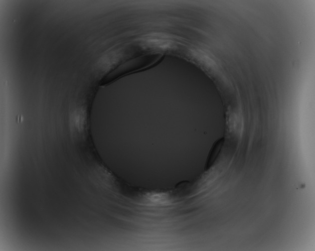 X0000089350283200706291027