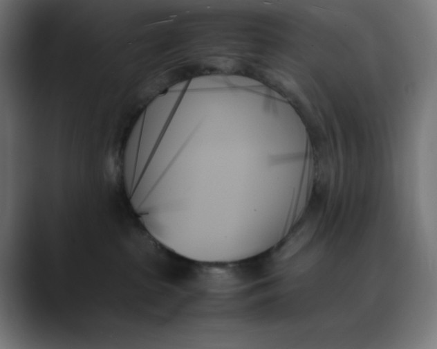 X0000089350285200706291027