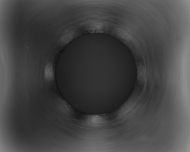 X0000089350287200706291027