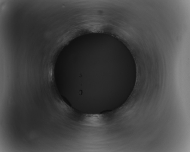 X0000089350288200706291027