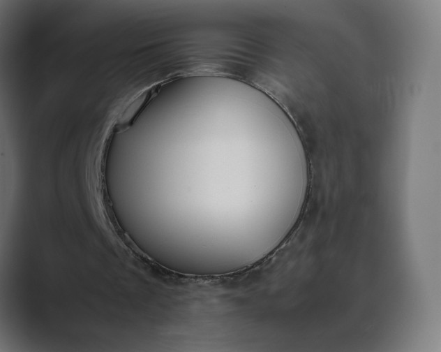 X0000089350289200706291027