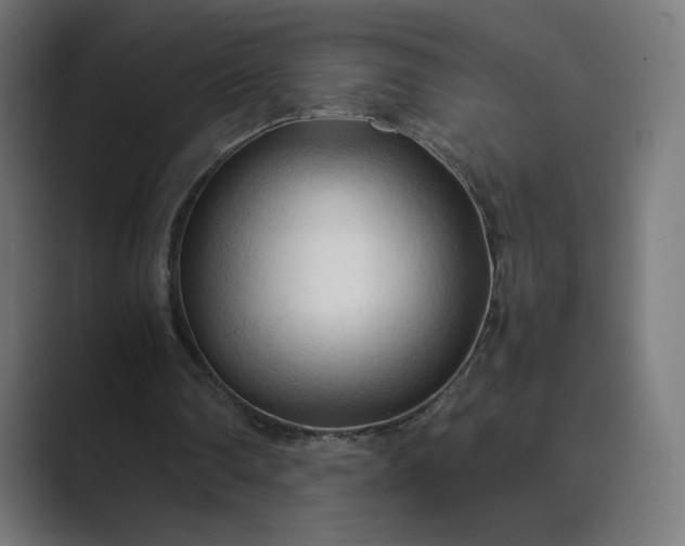 X0000089350290200706291027