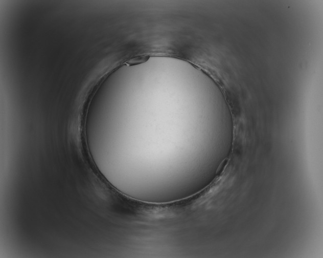 X0000089350293200706291027
