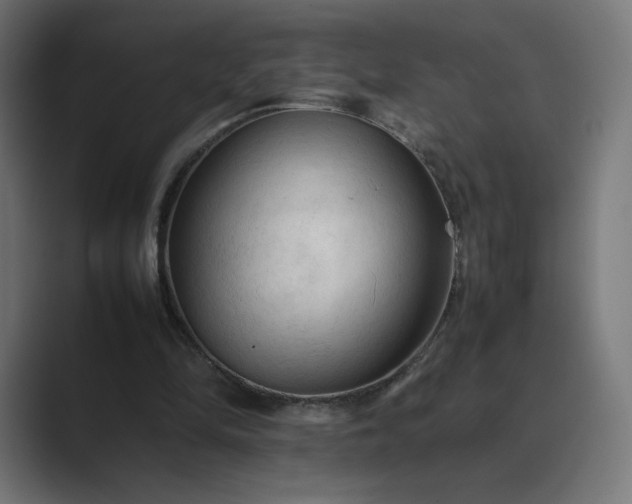 X0000089350294200706291027