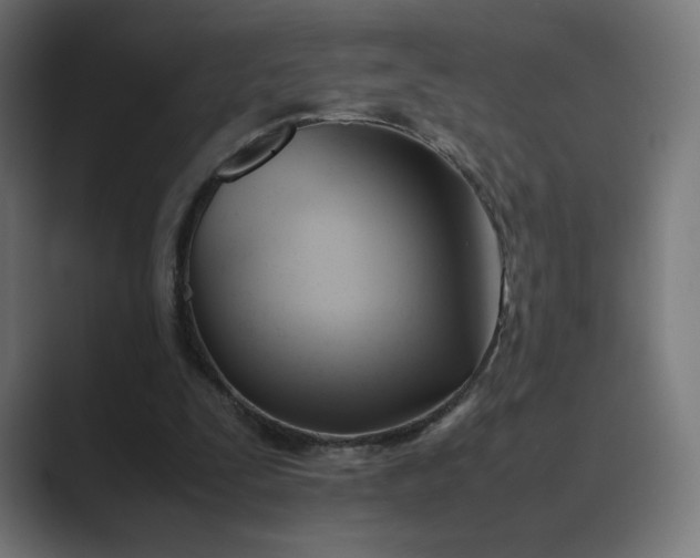 X0000089350295200706291027