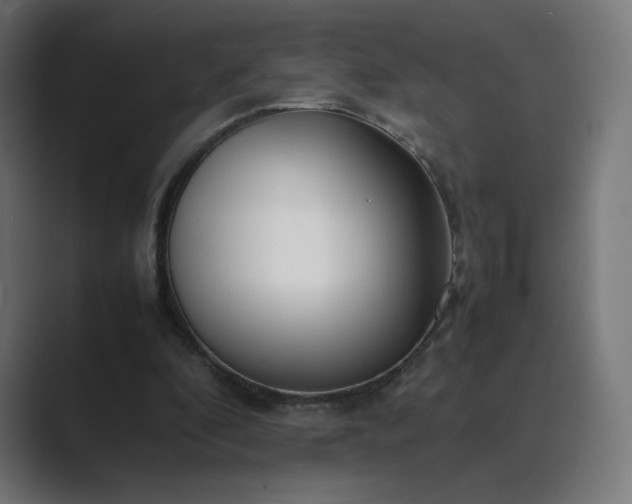 X0000089350296200706291027