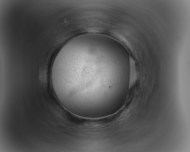 X0000089350299200706291027