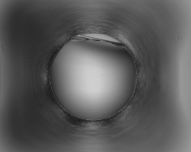 X0000089350305200706291026