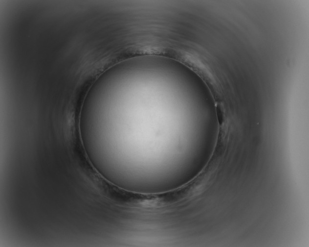 X0000089350306200706291026