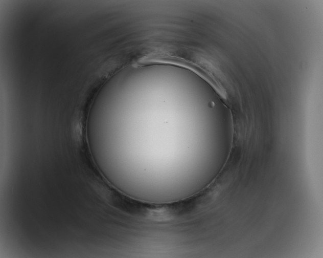 X0000089350309200706291026