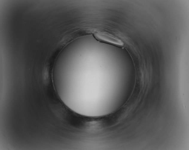 X0000089350312200706291026