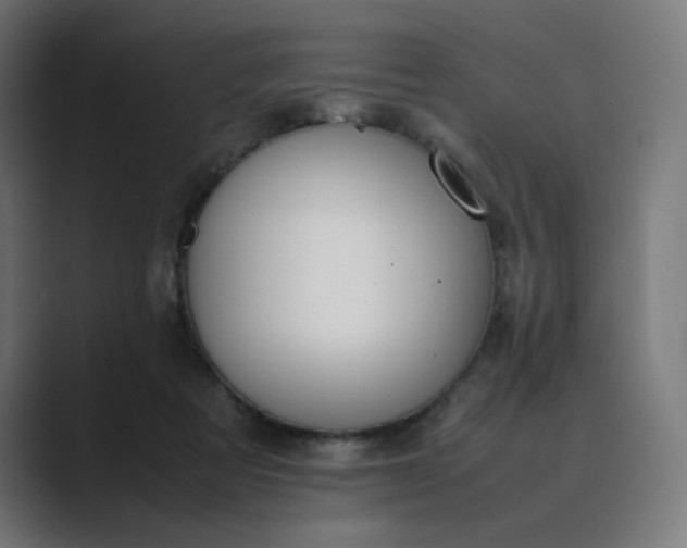 X0000089350313200706291026