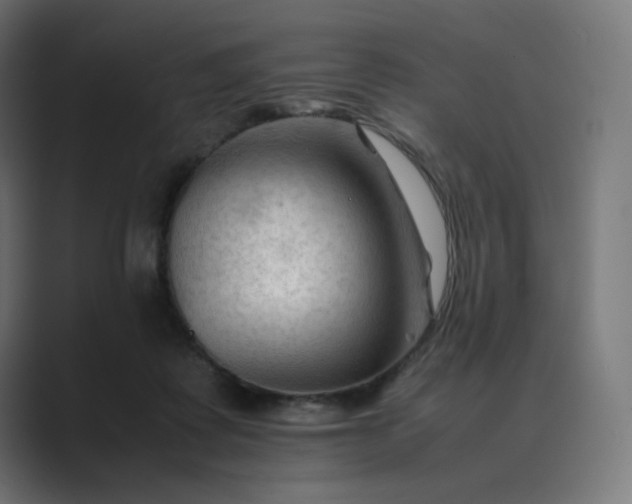 X0000089350315200706291026