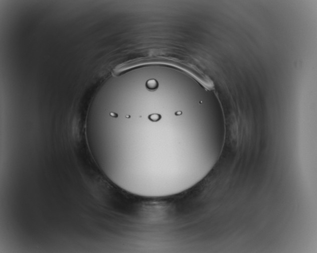 X0000089350316200706291026