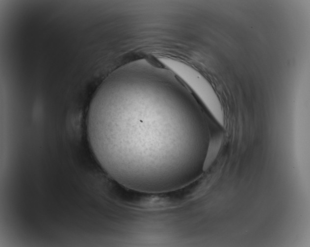 X0000089350319200706291026