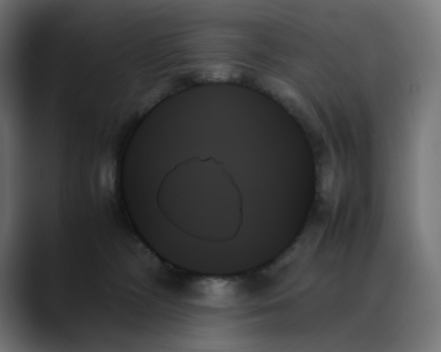 X0000089350326200706291026