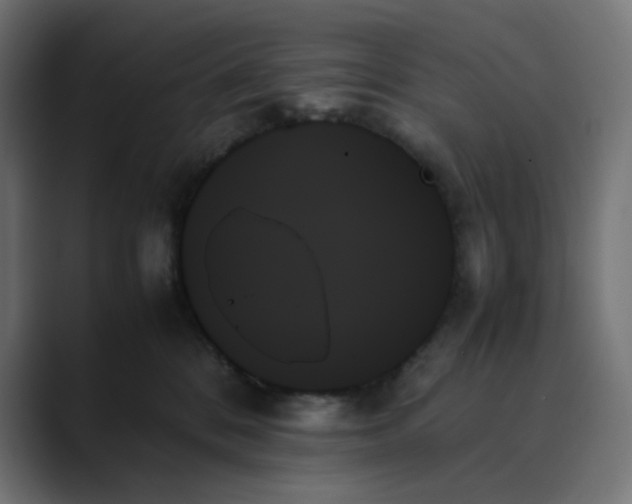 X0000089350328200706291026